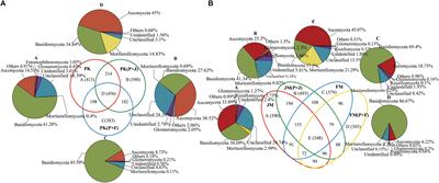 Variations in Soil Functional Fungal Community Structure Associated With Pure and Mixed Plantations in Typical Temperate Forests of China